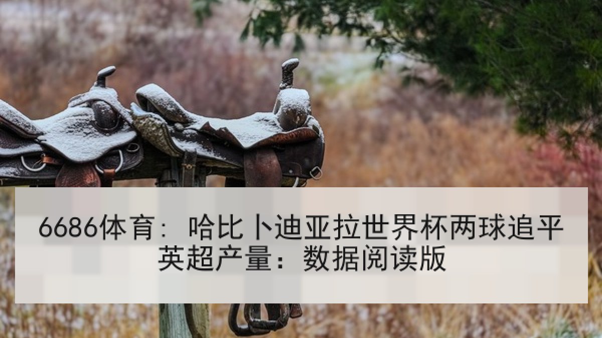 6686体育: 哈比卜迪亚拉世界杯两球追平英超产量：数据阅读版