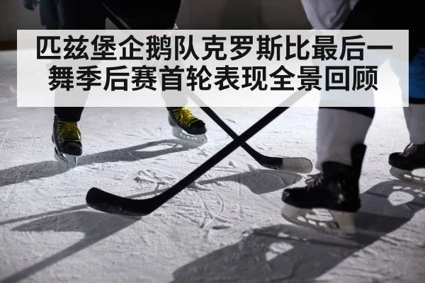 匹兹堡企鹅队克罗斯比最后一舞季后赛首轮表现全景回顾