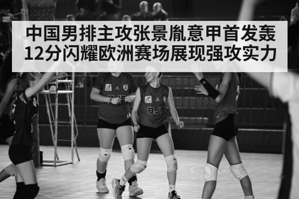 Italian volleyball league match